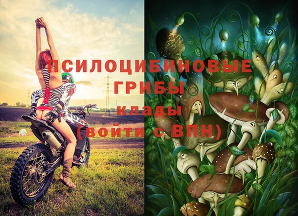 мяу мяу мука Пересвет
