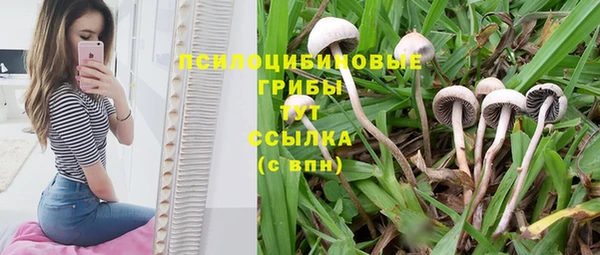 мяу мяу мука Пересвет
