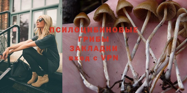 круглые Переславль-Залесский