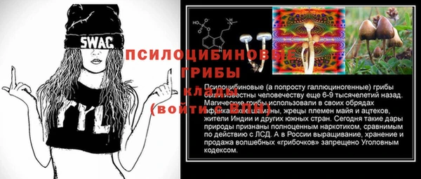 мяу мяу мука Пересвет