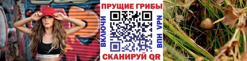 Галлюциногенные грибы мицелий  Купить  Дагестанские Огни 